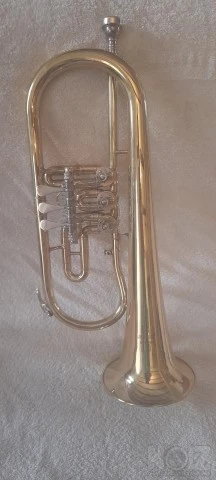 Φλικόρνο rotary valve