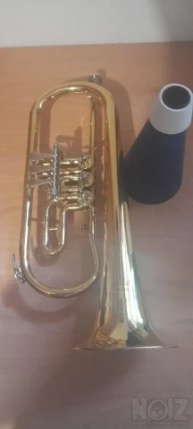 Φλικόρνο rotary valve