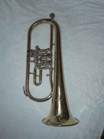 Φλικόρνο rotary valve
