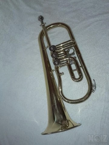 Φλικόρνο rotary valve
