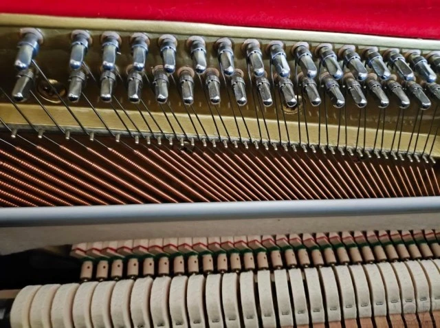 Kawai KX21 Series