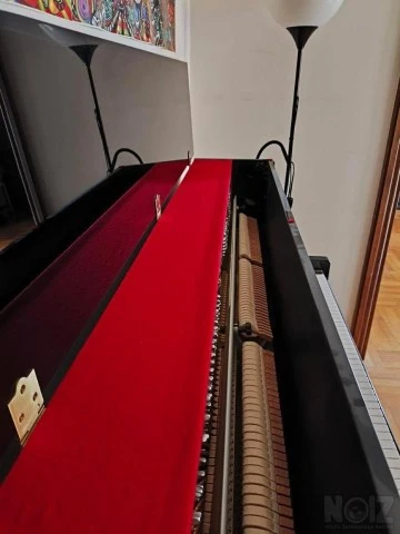 Kawai KX21 Series
