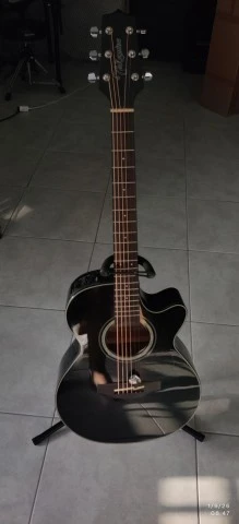 Takamine gd30