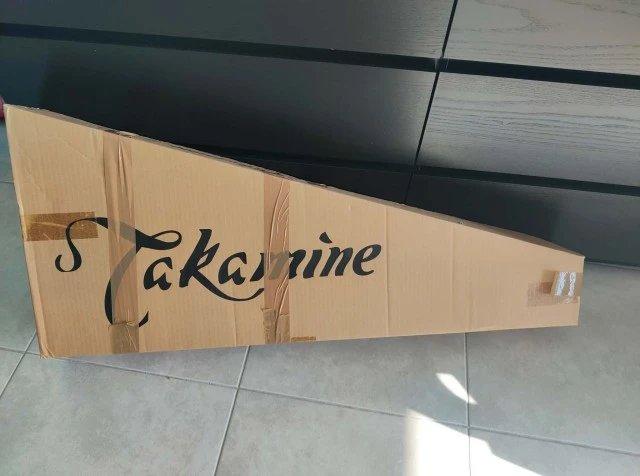 Takamine gd30