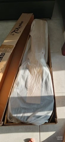 Takamine gd30