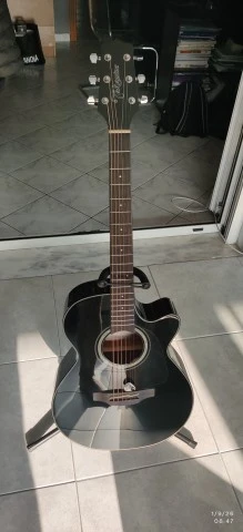Takamine gd30