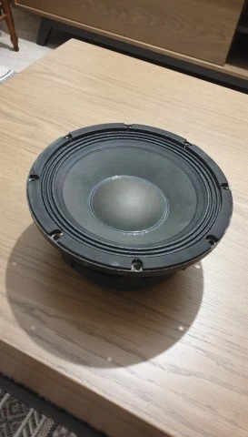 Electro-Voice EVM 10M