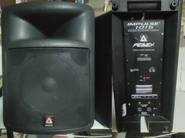 Peavey impulse 1015