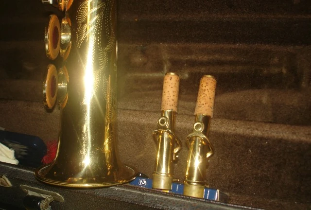 Yanagisawa Elimona