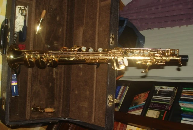 Yanagisawa Elimona
