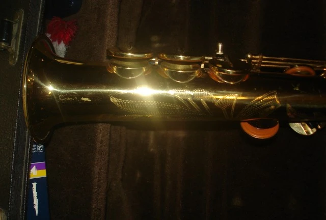 Yanagisawa Elimona