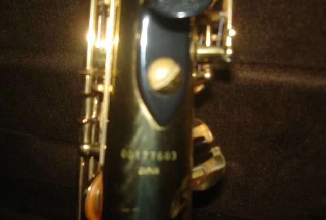 Yanagisawa Elimona
