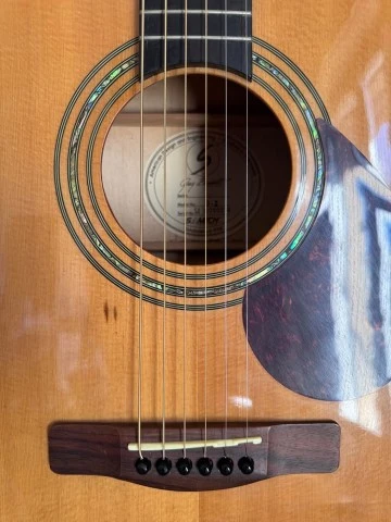 Samick Greg Bennett D-2