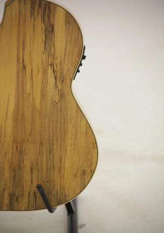 Ortega TZSM/2 Thomas Zwijsen Signature Electro Classical