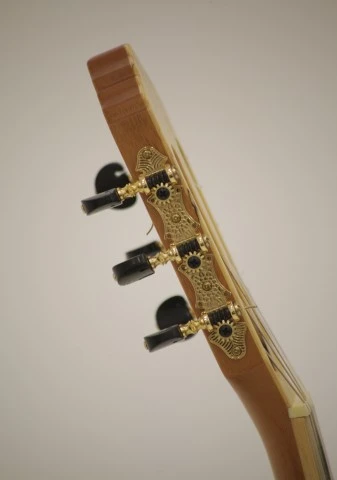Ortega TZSM/2 Thomas Zwijsen Signature Electro Classical