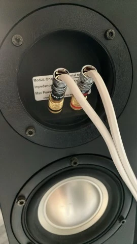 Amphion One12