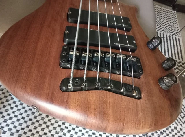 Warwick Thumb Bass NT