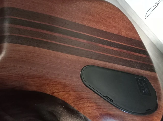 Warwick Thumb Bass NT