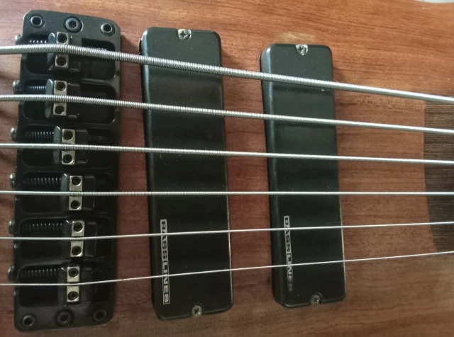 Warwick Thumb Bass NT