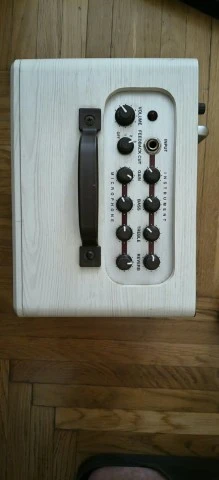 ZT Amplifiers Lunchbox LBA1