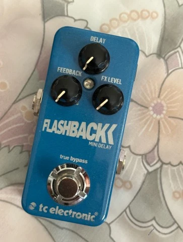 TC Electronic Flashback Delay