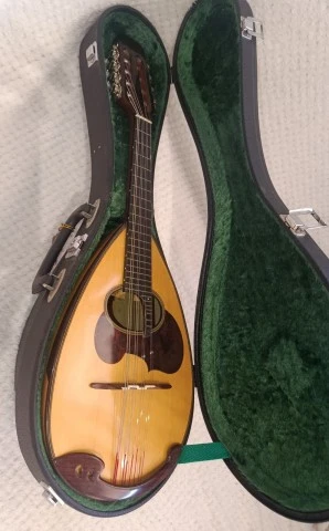 Suzuki M-30