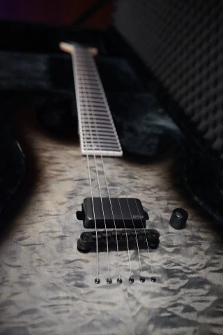 ESP LTD M-1001NT QM Charcoal Burst