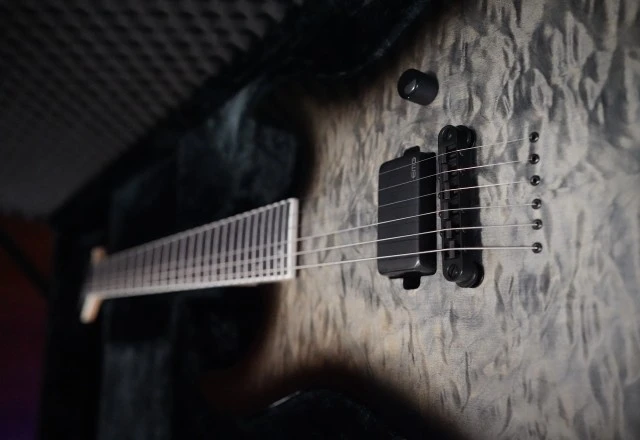ESP LTD M-1001NT QM Charcoal Burst