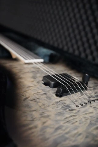 ESP LTD M-1001NT QM Charcoal Burst