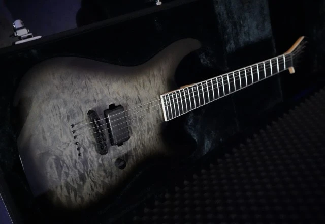 ESP LTD M-1001NT QM Charcoal Burst