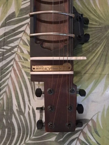 Sitar / Σιτάρ