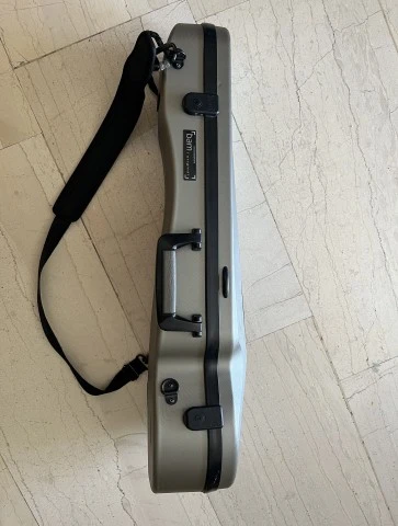 Bam violin case