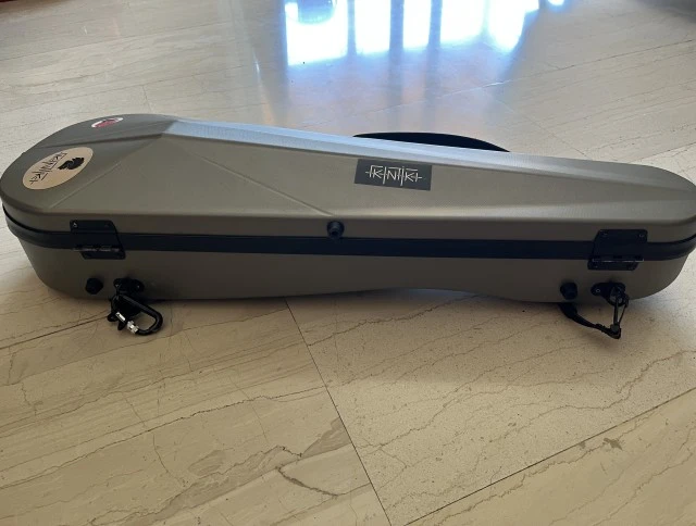 Bam violin case
