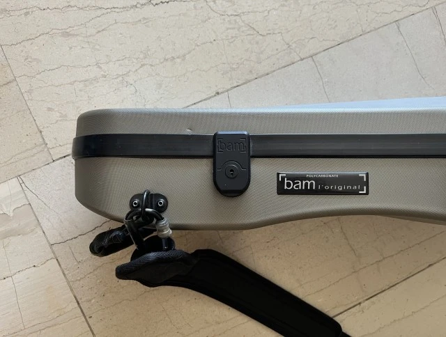 Bam violin case