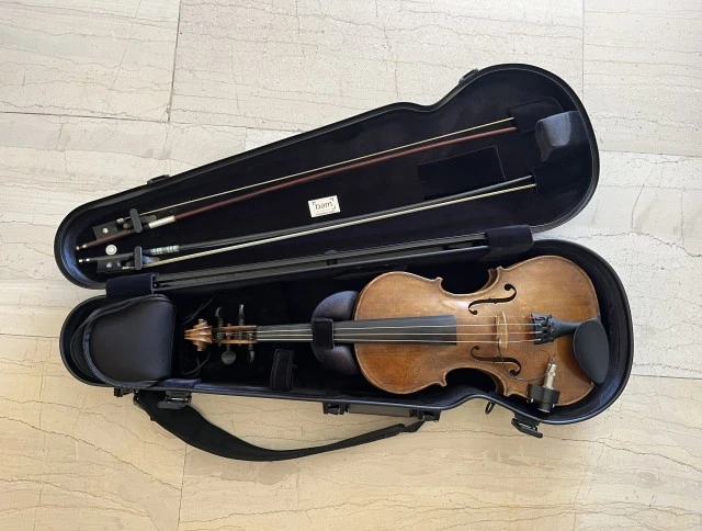 Bam violin case