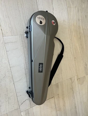 Bam violin case