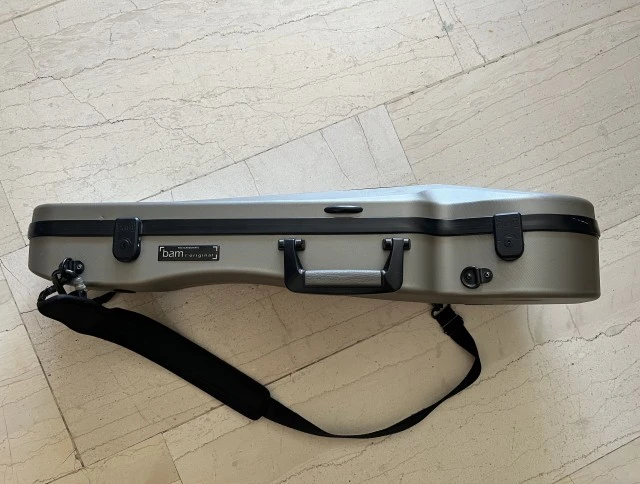 Bam violin case