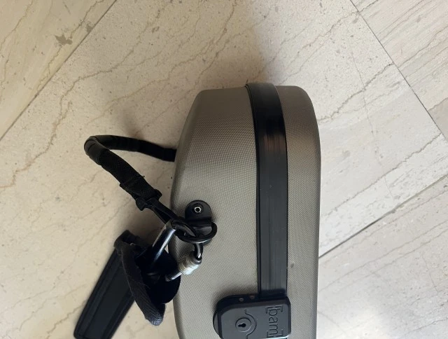 Bam violin case