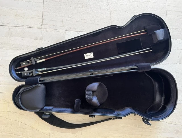 Bam violin case