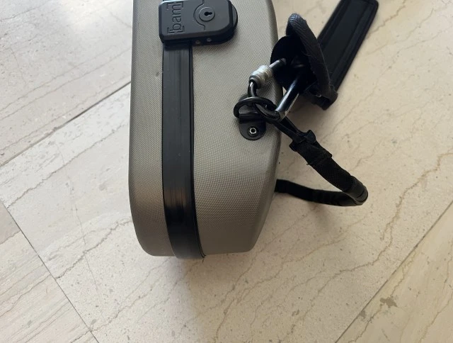 Bam violin case