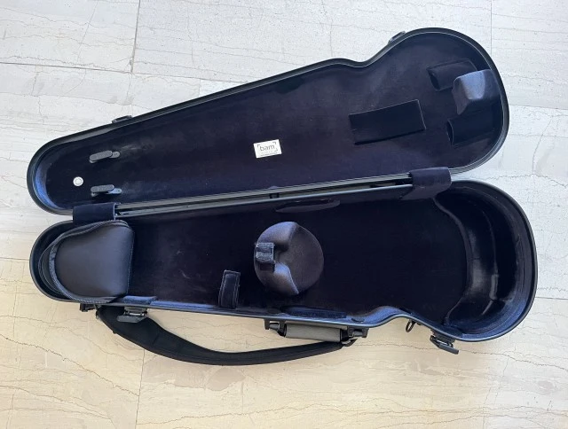 Bam violin case