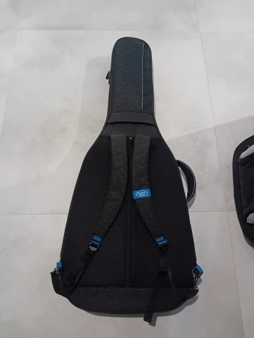 Reunion Blues CV Semi-Hollow Case
