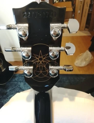 Gibson Les Paul Adam Jones Signature