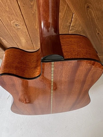 Fender DG20CE