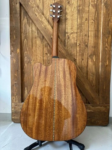Fender DG20CE