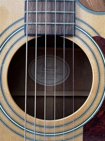 Fender DG20CE