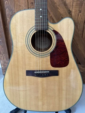 Fender DG20CE