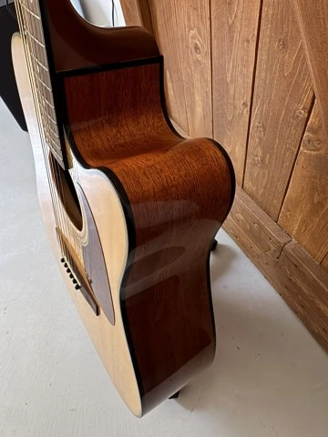 Fender DG20CE
