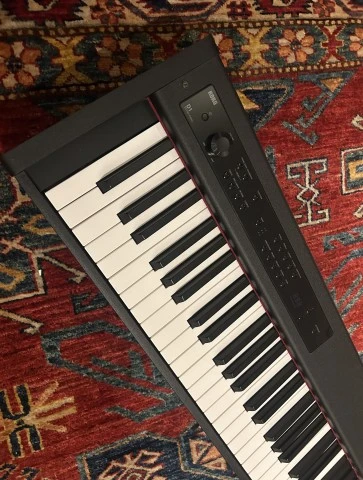 Korg D1