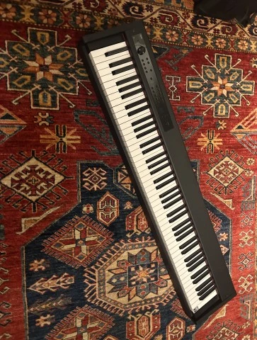 Korg D1